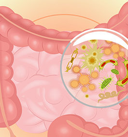 INTESTINAL BACTERIA IN CROHN'S DISEASE–AND WHY YOU NEED TO BE NICE TO THEM