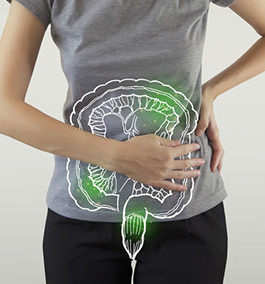 IBD TESTS FOR INFECTIONS IN THE INTESTINE