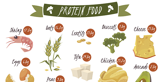 PROTEIN NEEDS IN ULCERATIVE COLITIS