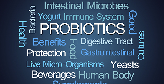 PREBIOTICS DON'T HELP AFTER SURGERY FOR CROHN'S DISEASE: Research study